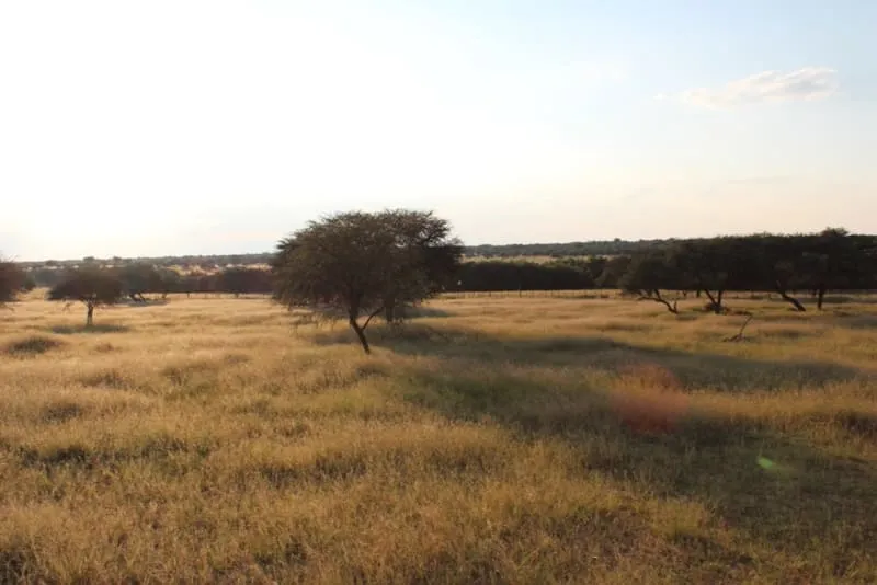 Comedor interior, ideal para desayunos y cenas en un entorno cálido y familiar.